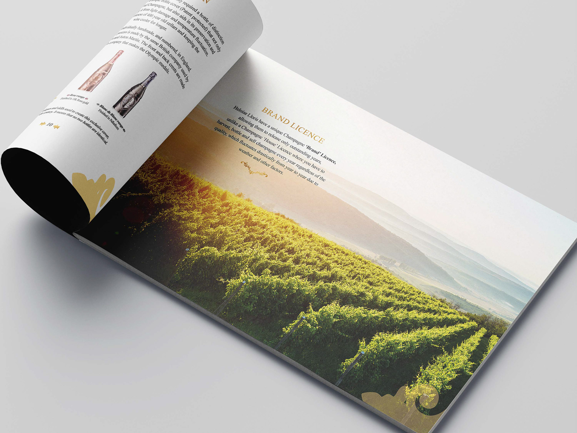 Héloïse Lloris Brochure